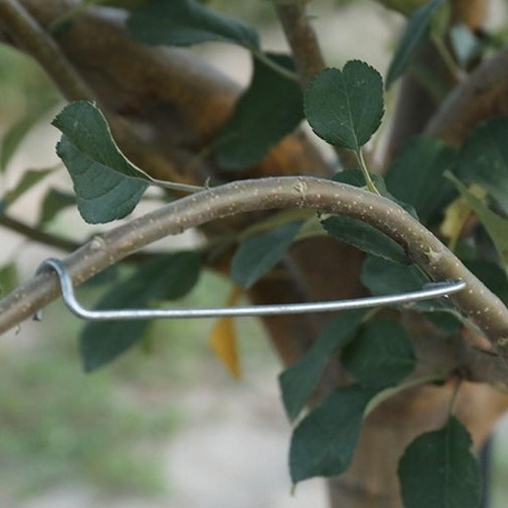 10Pcs Anti-Slip Metal Limb Spreaders High-Strength with Protective Sleeve Branch Bending Clips Plant Support Tool Strong