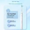 Philips Sonic Electric Toothbrush HX2429/01 CN Plug (adapter Included)