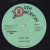 7inch Record JUNIOR REID  Not Try  Not Try Version YD9 Youth Promotion 2026 Europe Reggae Ska  Dub