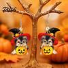 Orecchini Novità Festa di Halloween Cappello da Strega Orecchini Cucciolo, Cane Carino Zucca Pendenti Regalo per Lei Gioielli Leggeri in Acrilico, Accessori Donna