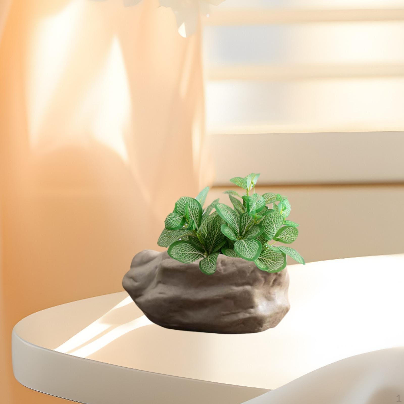 

Bonsai Planter with Drainage for Indoor Use Style A