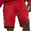 PUMA Football Shorts dryCELL Moisture-wicking Red