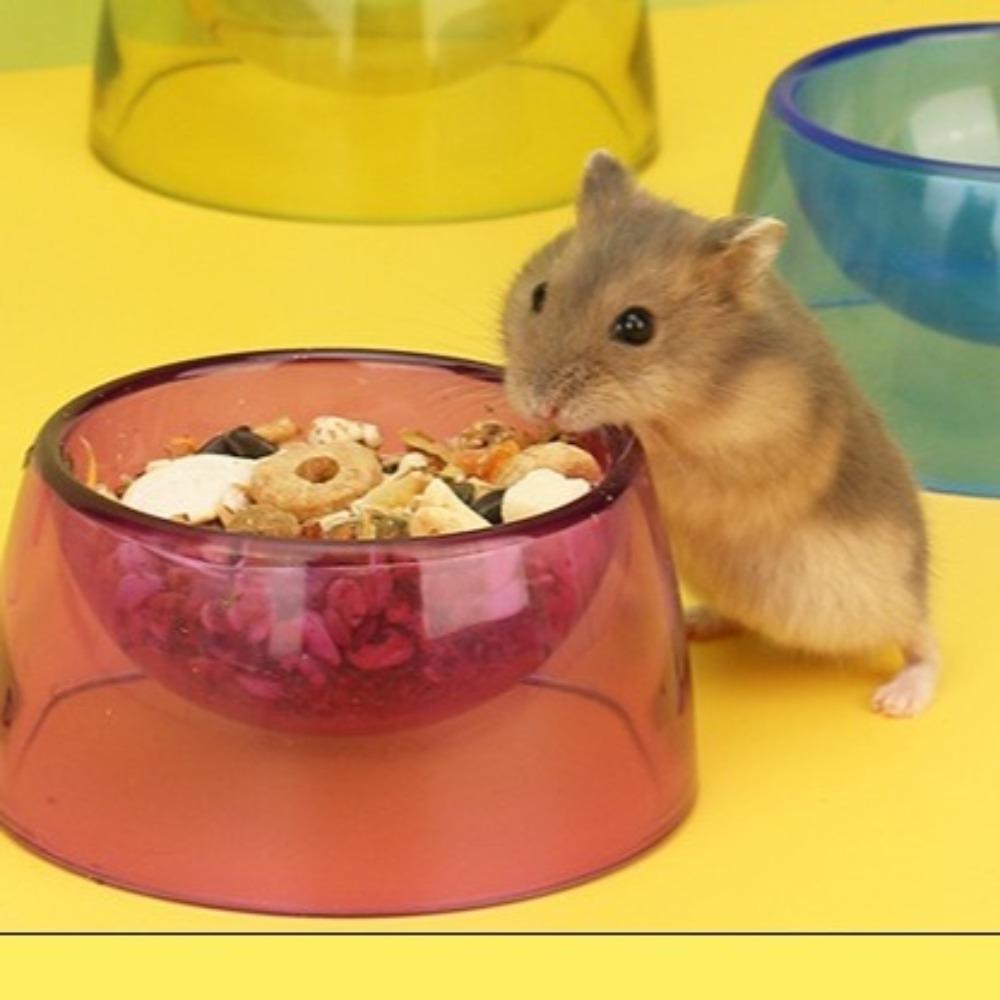 Plastic Pet Feeding Bowl Bite Resistant Rat Food Water Dish New Hamster Water Bowl Home