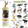 Frog Life Cycle Model Set: Tadpole to Frog Educational Toys for Kids