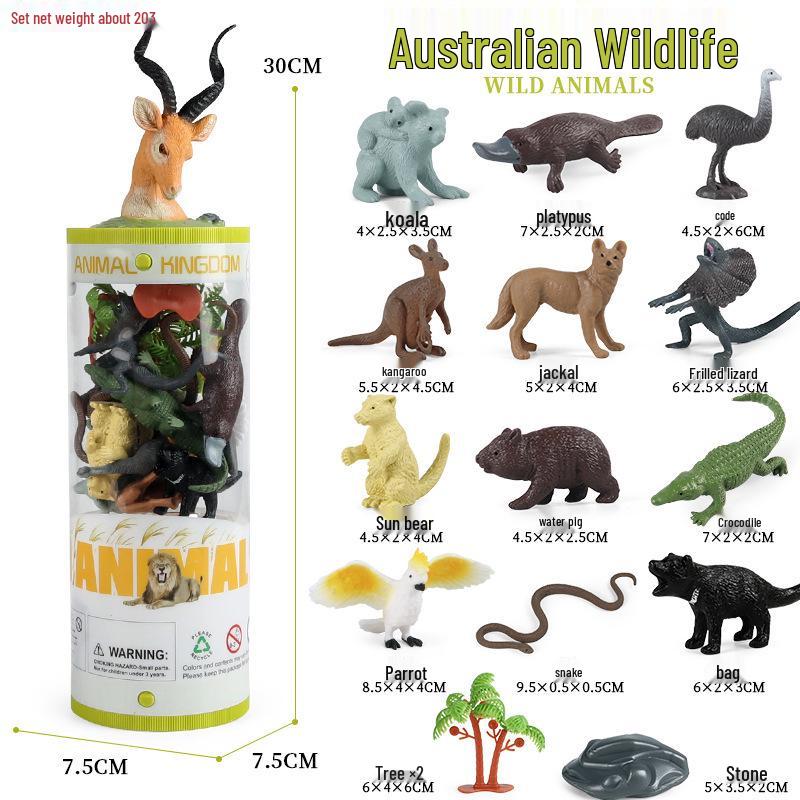 Frog Life Cycle Model Set: Tadpole to Frog Educational Toys for Kids