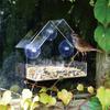 Clear Acrylic Wall-Mounted Bird Feeder with Suction Cups