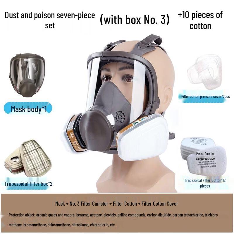 Lieve Full-Face Gas Mask