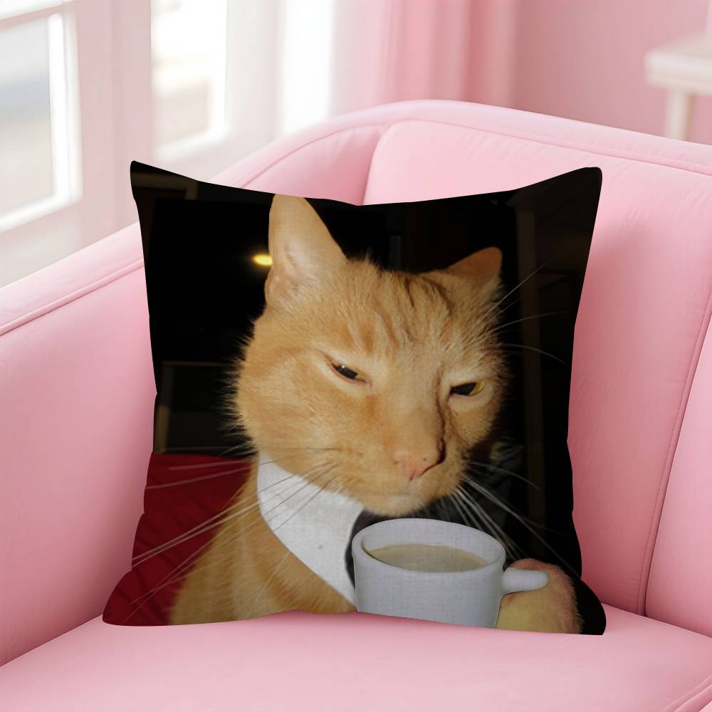 Funny Cat MMeme  Personalized Pillow Cover Kids Bedroom Wild Party Decor Pillowcase Kid Birthday Shower Gift