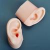 Realistic Silicone Ear Model Soft and Flexible Medical Students Practice
