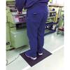 TRUSCO Leg and Back Mat, 9x450x600mm, TAM-4560