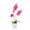 Phalaenopsis Potted Plant Ornament For Office Desk And Living Room Decor