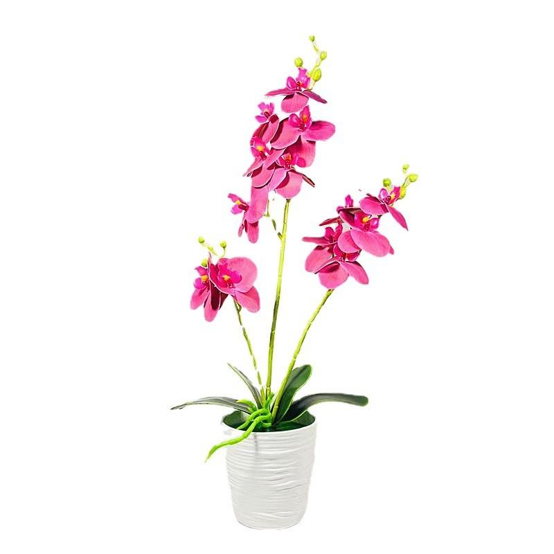 Phalaenopsis Potted Plant Ornament For Office Desk And Living Room Decor
