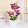 Multicolor Simulation Bonsai Accessories Faux Phalaenopsis Potted  Home Office Decoration