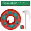 Cat Toys for Indoor Cats,Interactive Kitten Toys Roller Tracks with Catnip Spring Pet Toy with Exercise Balls