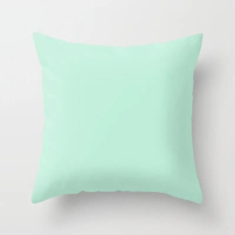Home Decor Fashion Simple Pillowcase Mint Green  Chair Sofa Car Pillow Farmhouse