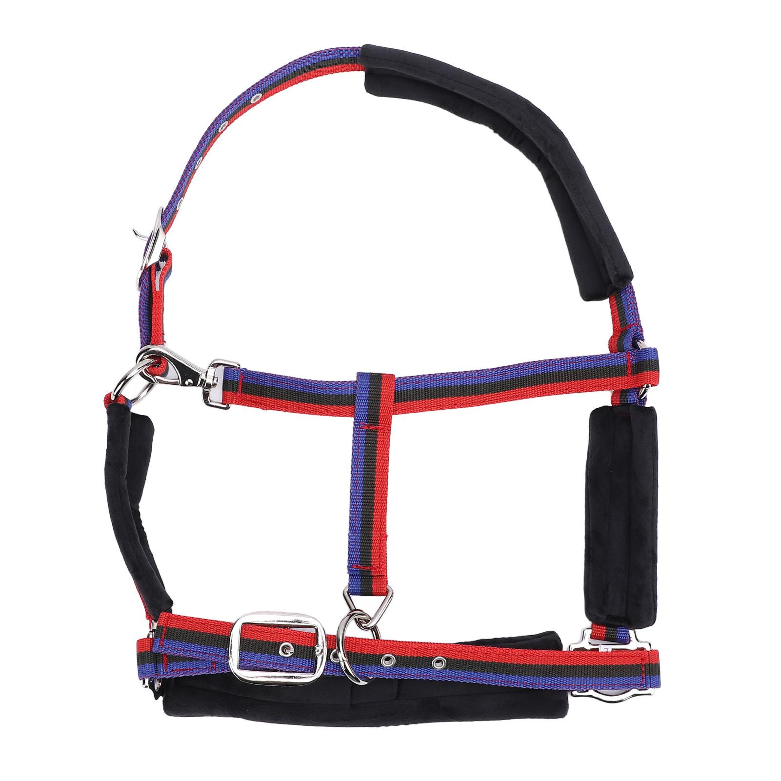 

Horse Halter Wearproof Nylon Comfortable Adjustable Chin and Throat Snap Halter for Training Equestrian Large Suitable for 1.35 - 1.65m / 4.4 - 5.4ft