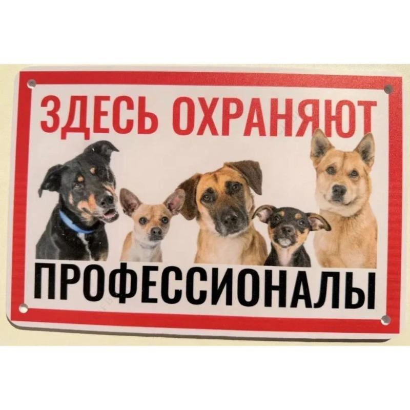Dog May Eat Metal Sign, Humorous Pet Warning Plaque