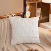 Plush Short Wool Cushion Cover 45x45cm Decorative Pattern Pillow Cover Velvet Sofa Pillow Case Home Decor Housse De Coussin