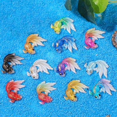 Fische & Meerestiere – Aquarien-Einrichtung