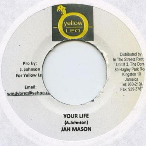 

7-дюймовая пластинка JAH MASON - Your Life Yellow Leo 2009 Ямайка Регги, Ска и Даб