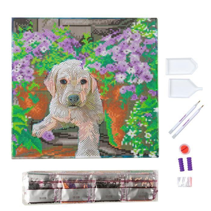 Diamond Painting Kit - CRYSTAL ART - Floral Pup - 30x30cm - 11 pièces - Intérieur