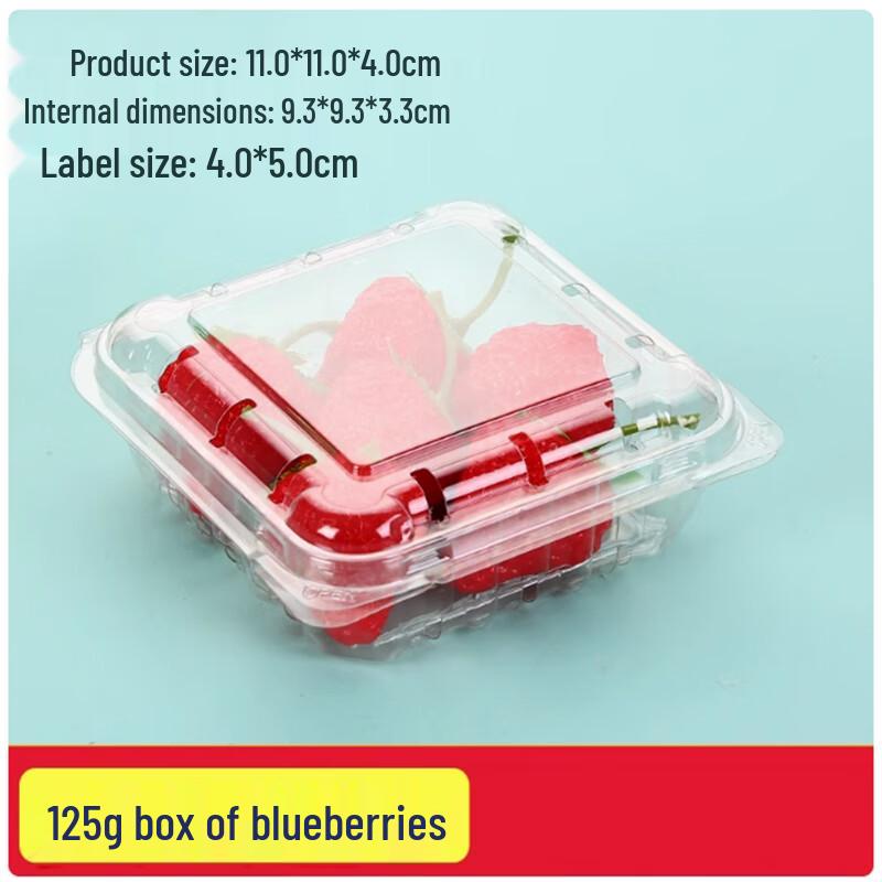 Sanbile Disposable Fruit Takeaway Box
