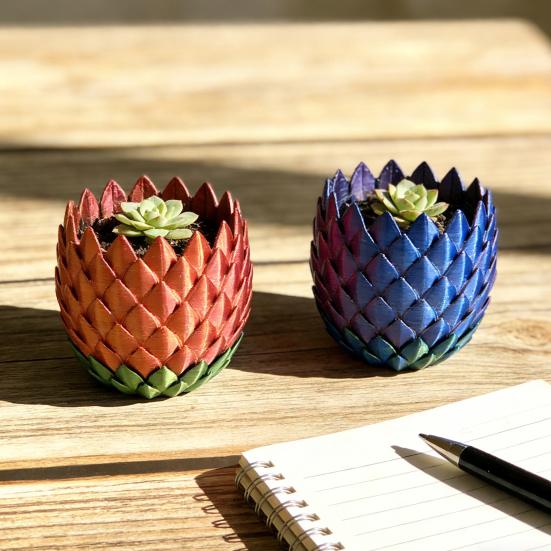 Doniczka ze Skalą Smoka z Podstawką Wewnątrz Na Zewnątrz Sukulenty Rośliny Ziołowe Doniczka Pojemnik z Otworami Drenażowymi Wystrój Domu Balkonu Ogrodu