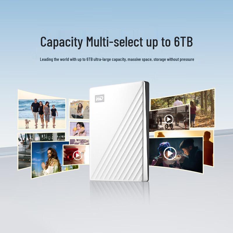 Western Digital Portable External Hard Drive