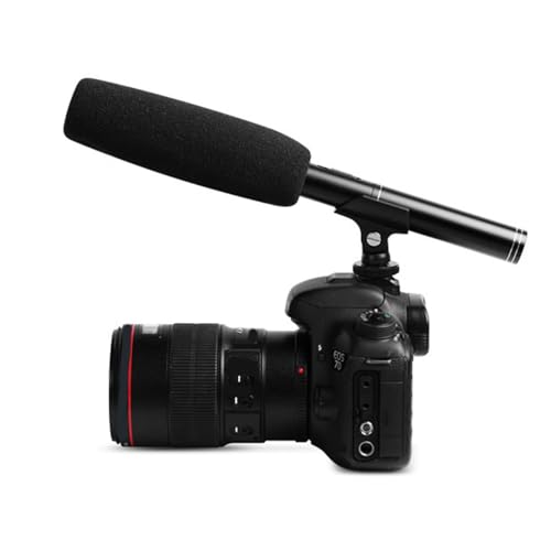 ABS Metal Wired Professional Interview Microphone with XLR Cable and Windscreen for Video Camcorders, DSLRs, and DV Cameras