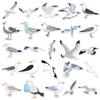 50 Seagull Cartoon Animal Stickers: Waterproof Decorations for Thermos Cups & Notebooks