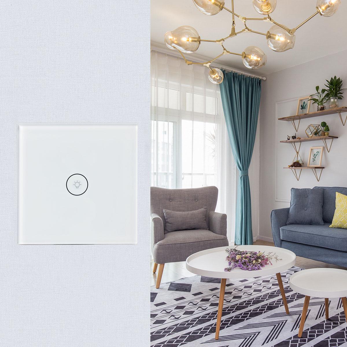 Matter Protocol EU Smart Wall Light Switch, HomeKit & Home Assistant Compatible Single Switch