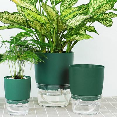 Vaso per piante succulente in PP resistente alla corrosione con irrigazione automatica per ufficio