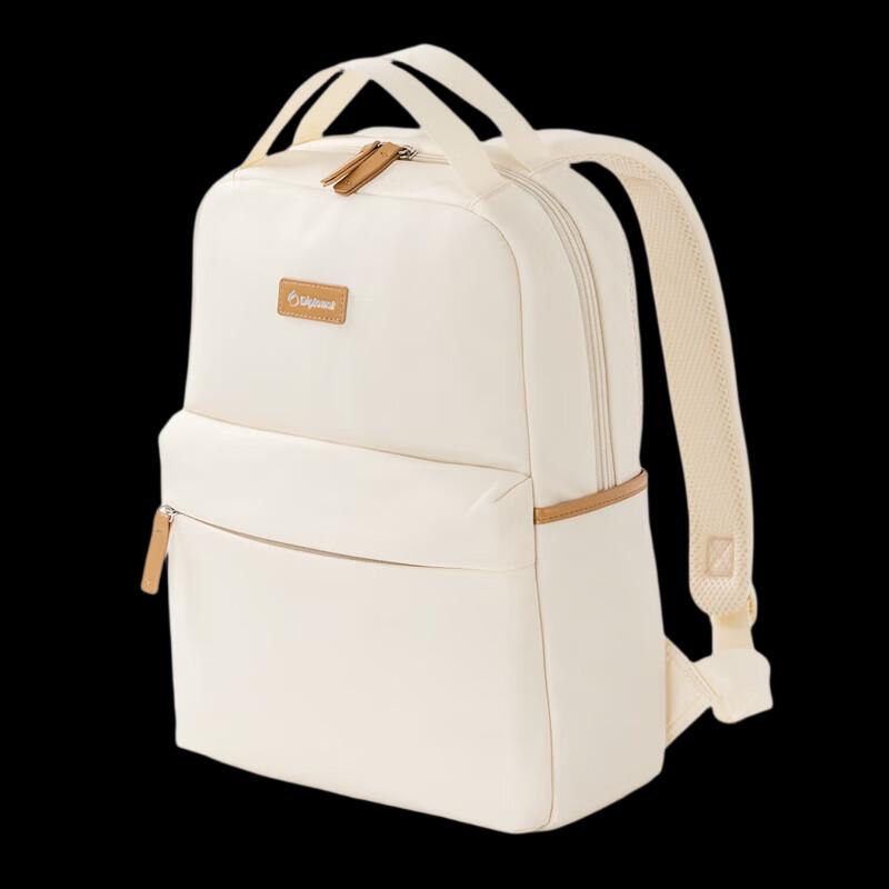 Дипломат DS-14109L Рюкзак для ноутбука, дорожный, для ежедневных поездок
