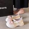 JK Small Leather Shoes Female Spring and Autumn Thick Bottom Muffin Bow 2025 New Round Head Japanese Lolita Mary Jane Shoes
