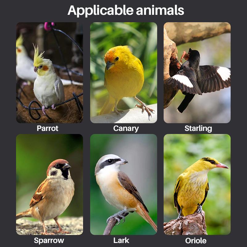 10/20/30/50ml Baby Bird Feeder Parrot Feeding Syringe Adjustable Hand-raised Breastfeeder Bird Supplies