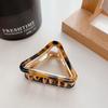 Multicolor Acetic Acid Hair Claw Small Size Korean Style Triangle Hair Crab Clip Hair Accessories Hair Clip Geometry Shark Clip