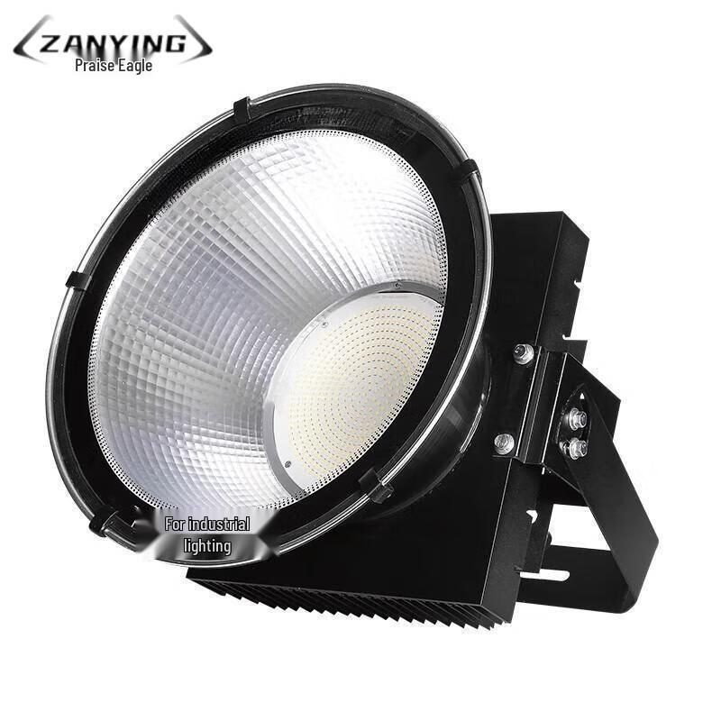 Zanying 1000W Outdoor LED Floodlight
