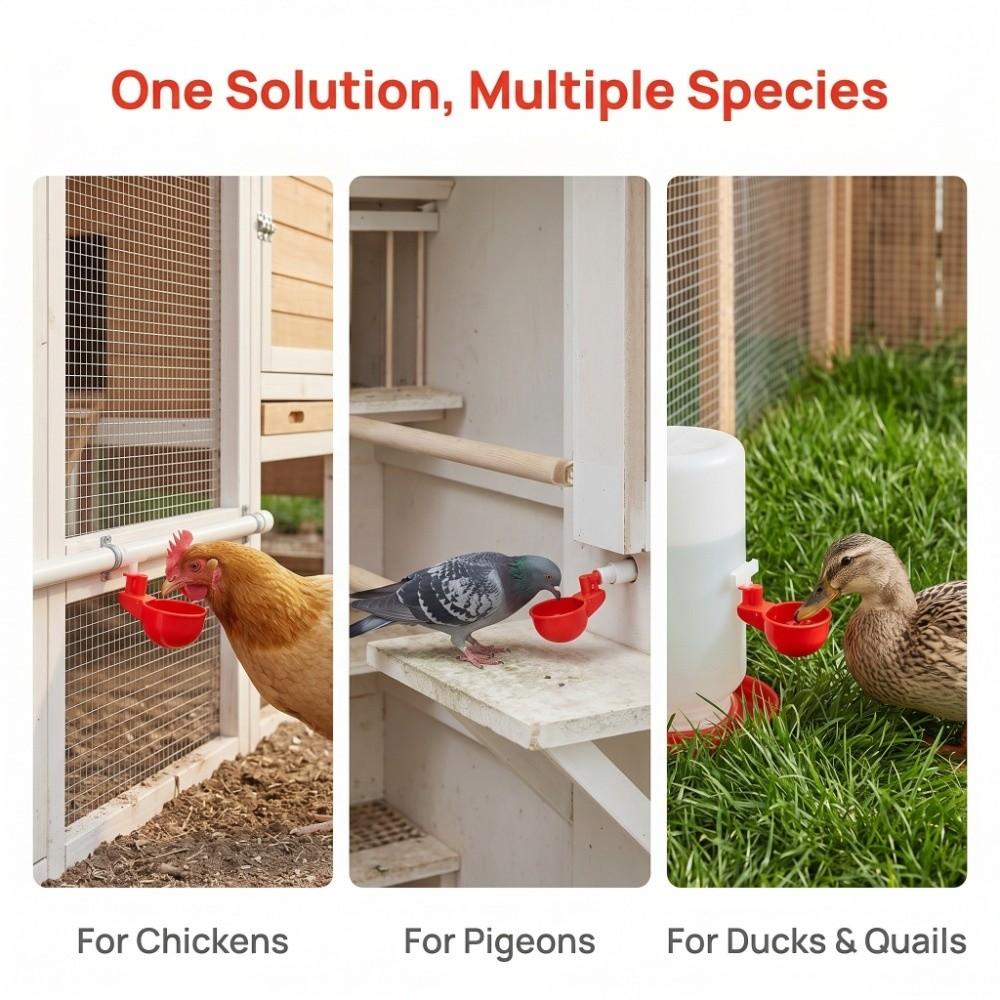 10 Sets PP Chicken Waterer Cups Durable Pigeon Waterer Cups Automatic Chicken Water Cups Home Use