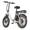 20-inch Folding Electric Bike 250W Motor 48V 16Ah Battery 25km/h 100km Range 20x3.0-inch Fat-Tire Electric Bicycle