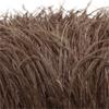 Feather1 Bundle Piume di Struzzo Naturali Filo Colorato 10-15/15-18CM Piumaggio Soffice Per Abiti Borsa Decorazione Artigianato Cucito