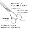 DEEDS XXA Scissor Thinning Set Thinning Rate Approximately by Japanese Scissors for Hairdressers and Haircutters (5.5 Inches, 25%) Manufacturer,