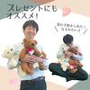 Shinada Global Lovely Worry Bear White (M) Teddy Bear LOFU-0350W
