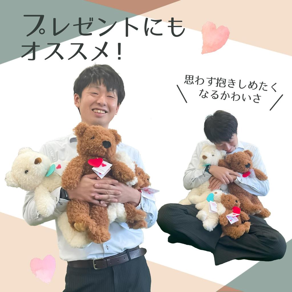 Shinada Global Lovely Worry Bear White (M) Teddy Bear LOFU-0350W