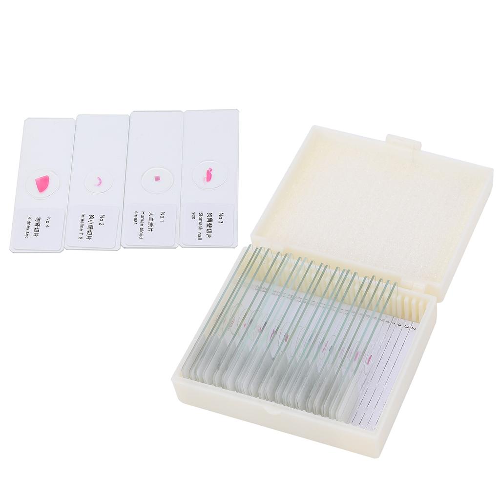 DW‑25 25Pcs Animal Slides Microscope Sample Slides Specimens for Science Education