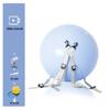 Children's Acrobatic Training Ball