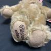 [USED] Steiff Authentic Teddy Bear Kitahara Edition