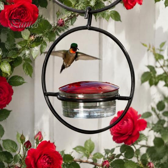 Clear Glass Bowl Bird Feeder Metal Hanging Hummingbird Feeders for Outdoors, with Red Garden Decor Lovers & Perch, Decorative Patio Deck Wild Feeding