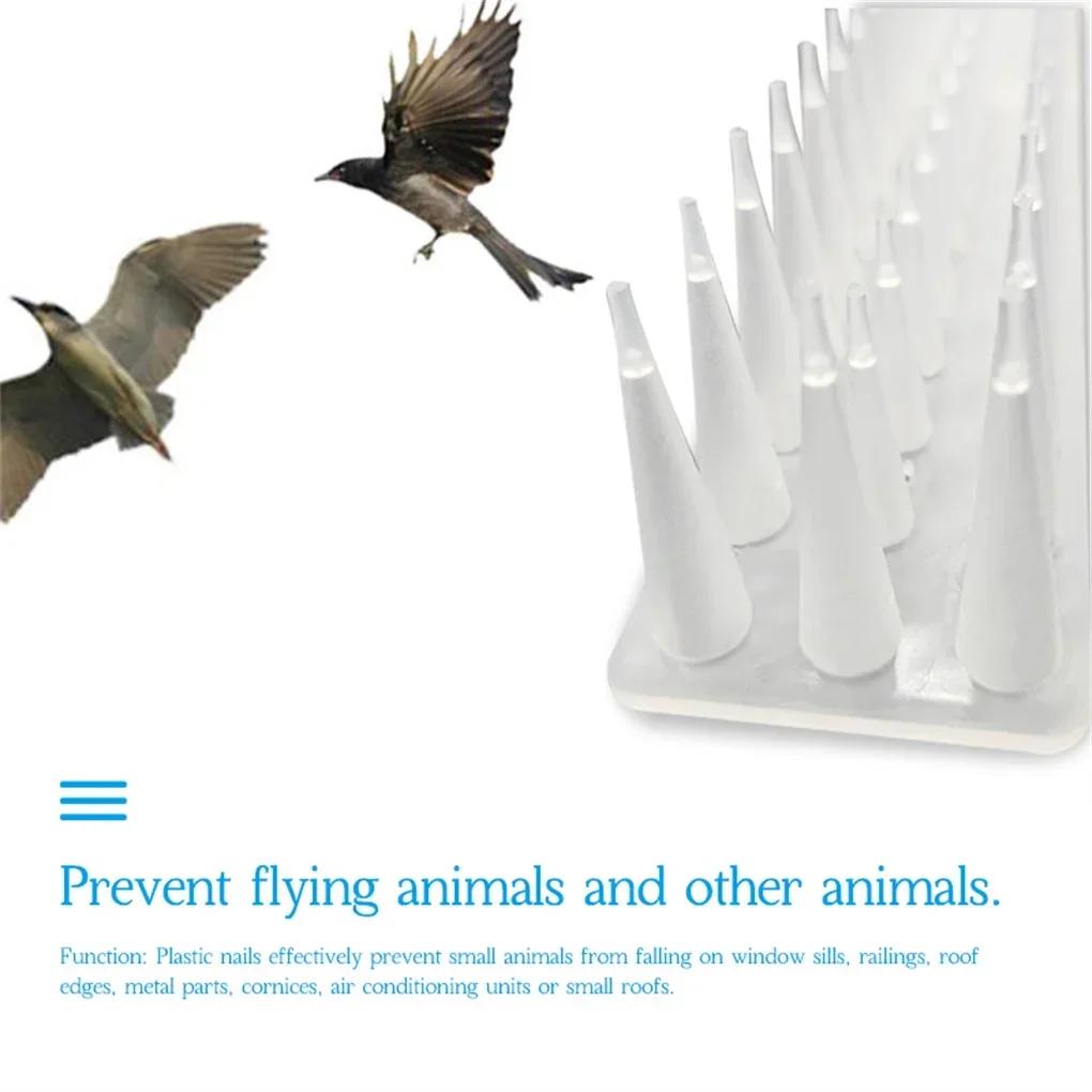 1ks venkovní plastové bezpečnostní plotové hroty Odpuzovače ptáků pro kočky dostupné na farmách sadů pro holuby Mývalové průhledné hroty