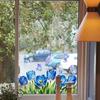 Tulip and Leaf Colorful Flower Window Stickers Glass Wall Decal Flower Butterfly Glass Electrostatic Film Floral Print Rose
