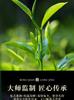 Xiaocha Diary Green Tea Longjing Mingqian 250g Head Picking New Tea Tea Gift Box Packaging High end Gift Giving
